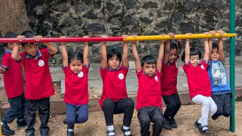 On the Monkey Bars