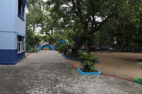 The tree-lined campus road
