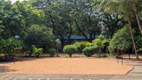The School Ground
