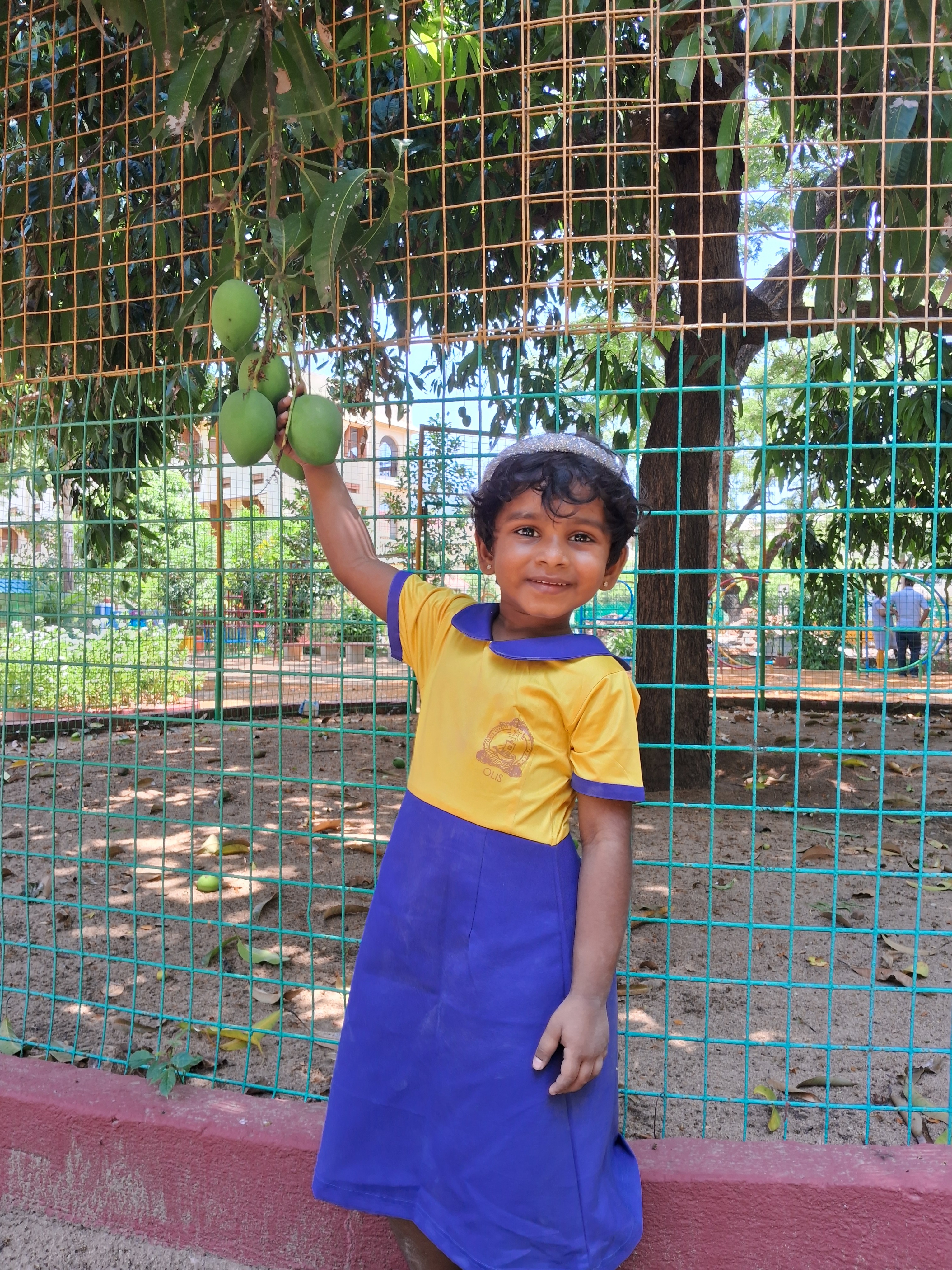 Reaching for the Mangoes