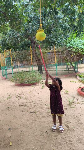 Reaching High